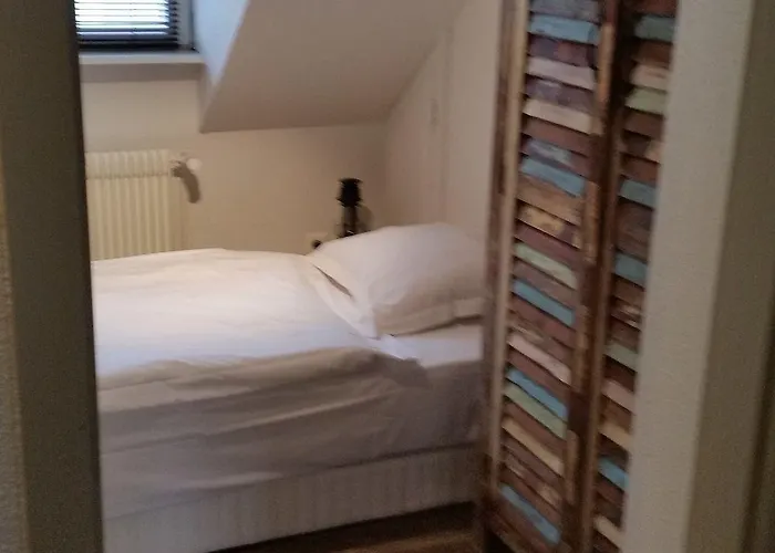 Roses Hotel Strasbourg